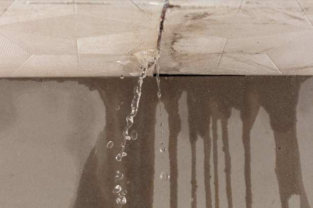 Professional Burst Pipe Cleanup technician working in Frederic, MI